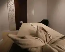Pullman Zamzam Madina thumbnail